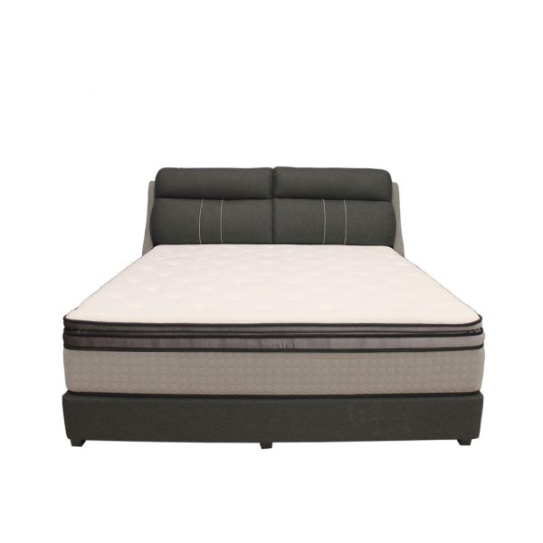 MX 550 Designer Bedframe